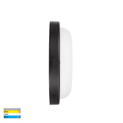 Havit Lighting Muovi Polycarbonate Black Wall or Ceiling Light