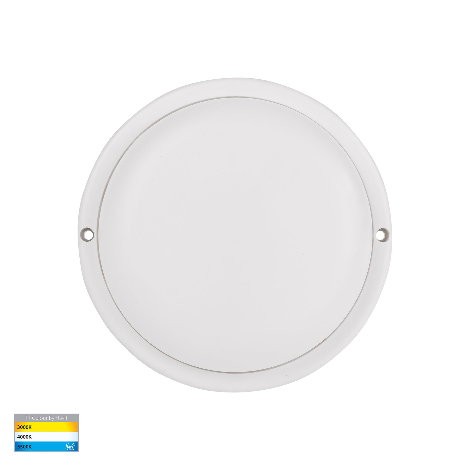 Havit Lighting Muovi Polycarbonate White Wall or Ceiling Light