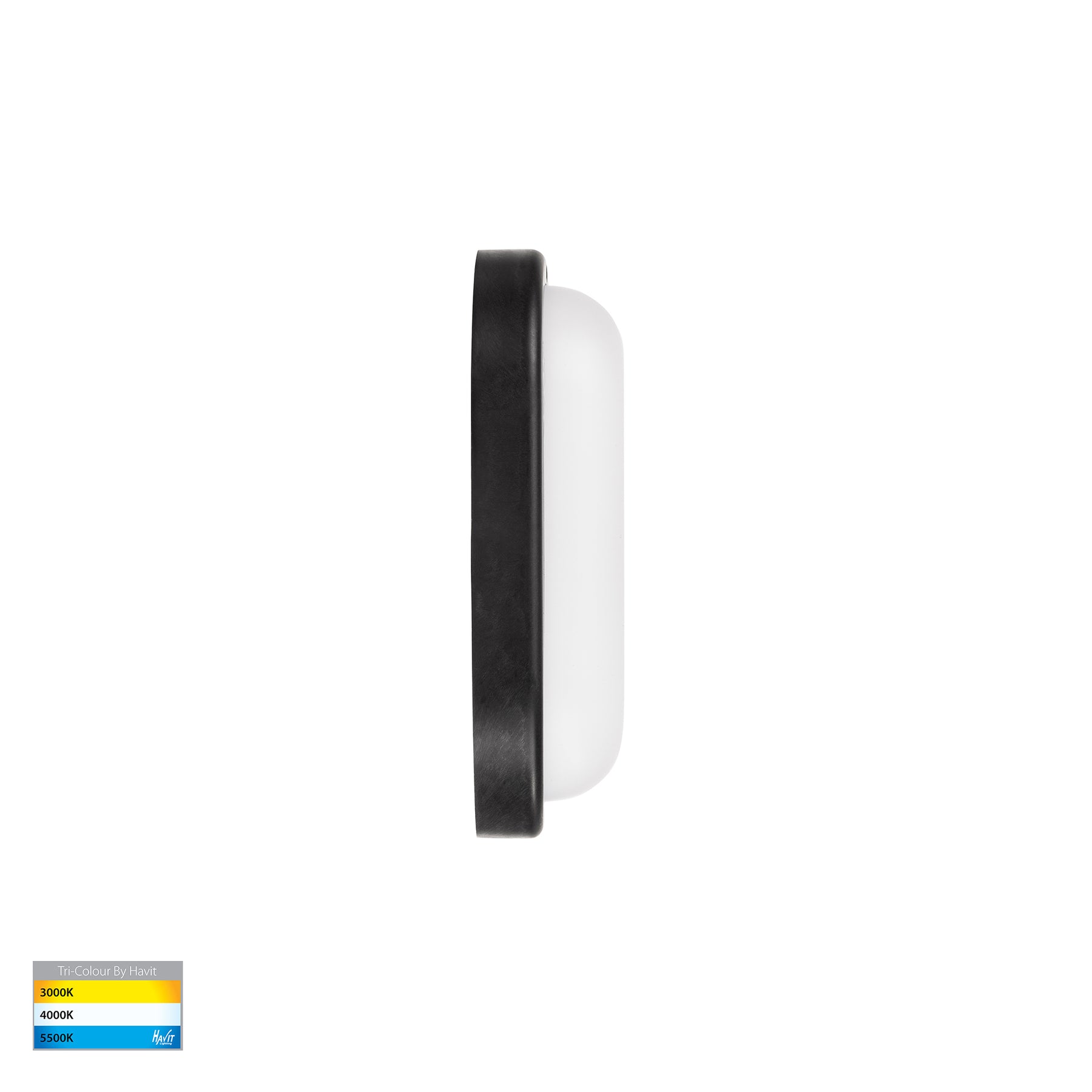 Havit Lighting Muovi Polycarbonate Black Wall Light