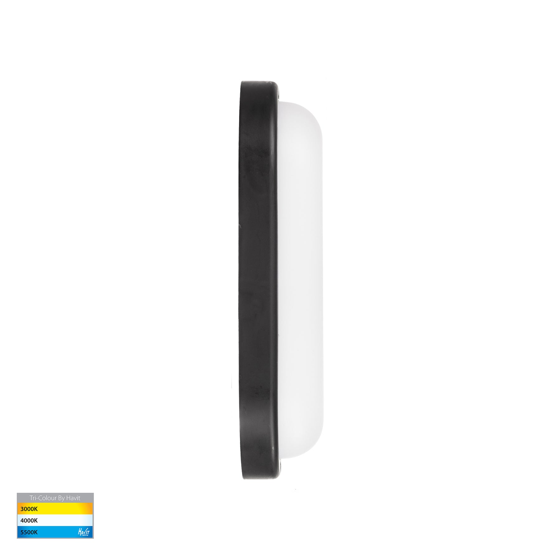 Havit Lighting Muovi Polycarbonate Black Wall Light