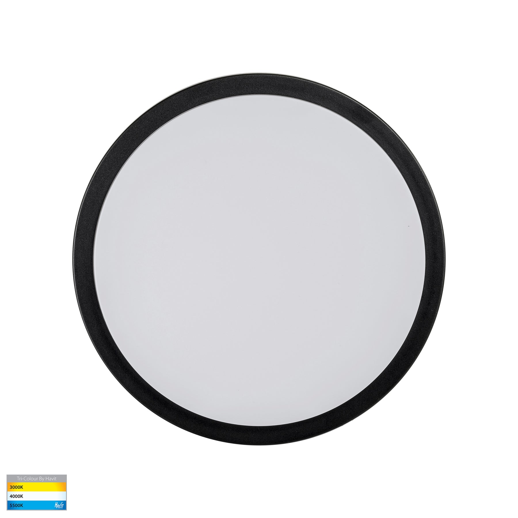 Havit Lighting Liptor Black 30w Ceiling Mounted LED Oyster