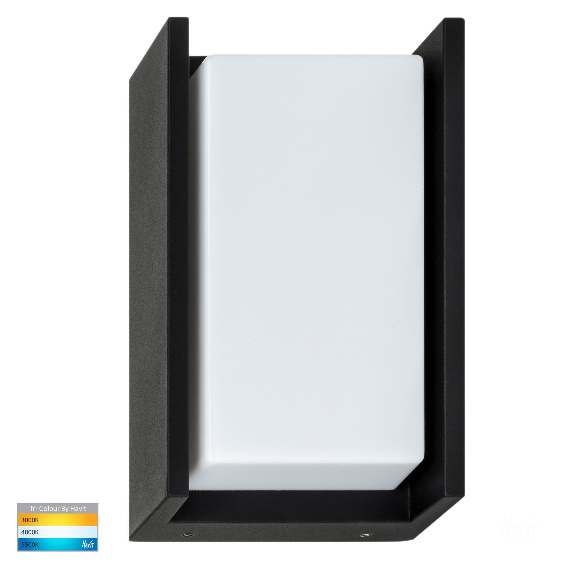 Havit Lighting Nepean Black LED Wall Light