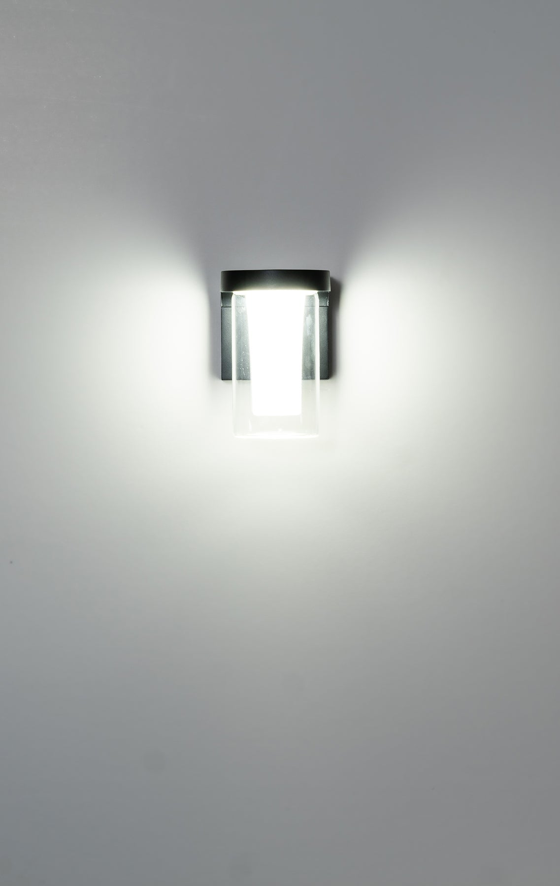 Havit Lighting Otaner Black LED Wall Light