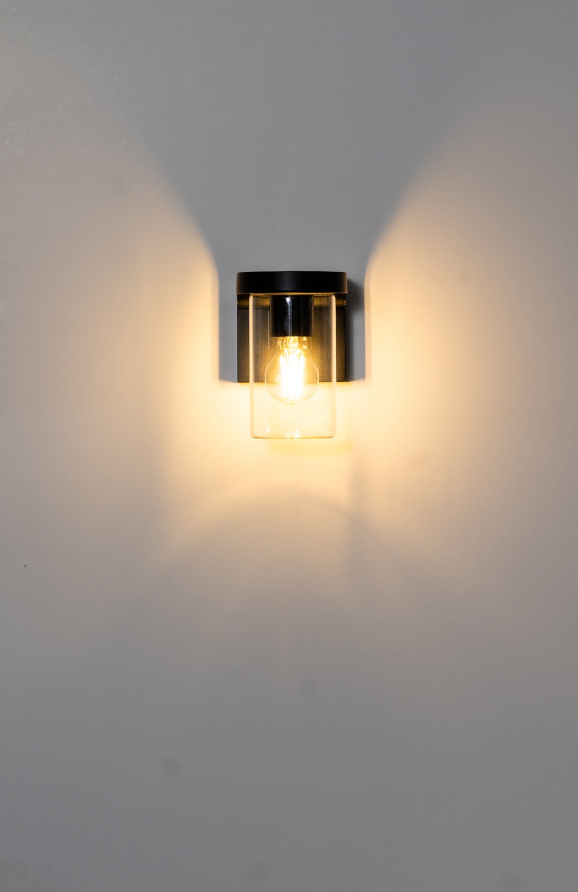 Havit Lighting Angela Black LED Wall Light