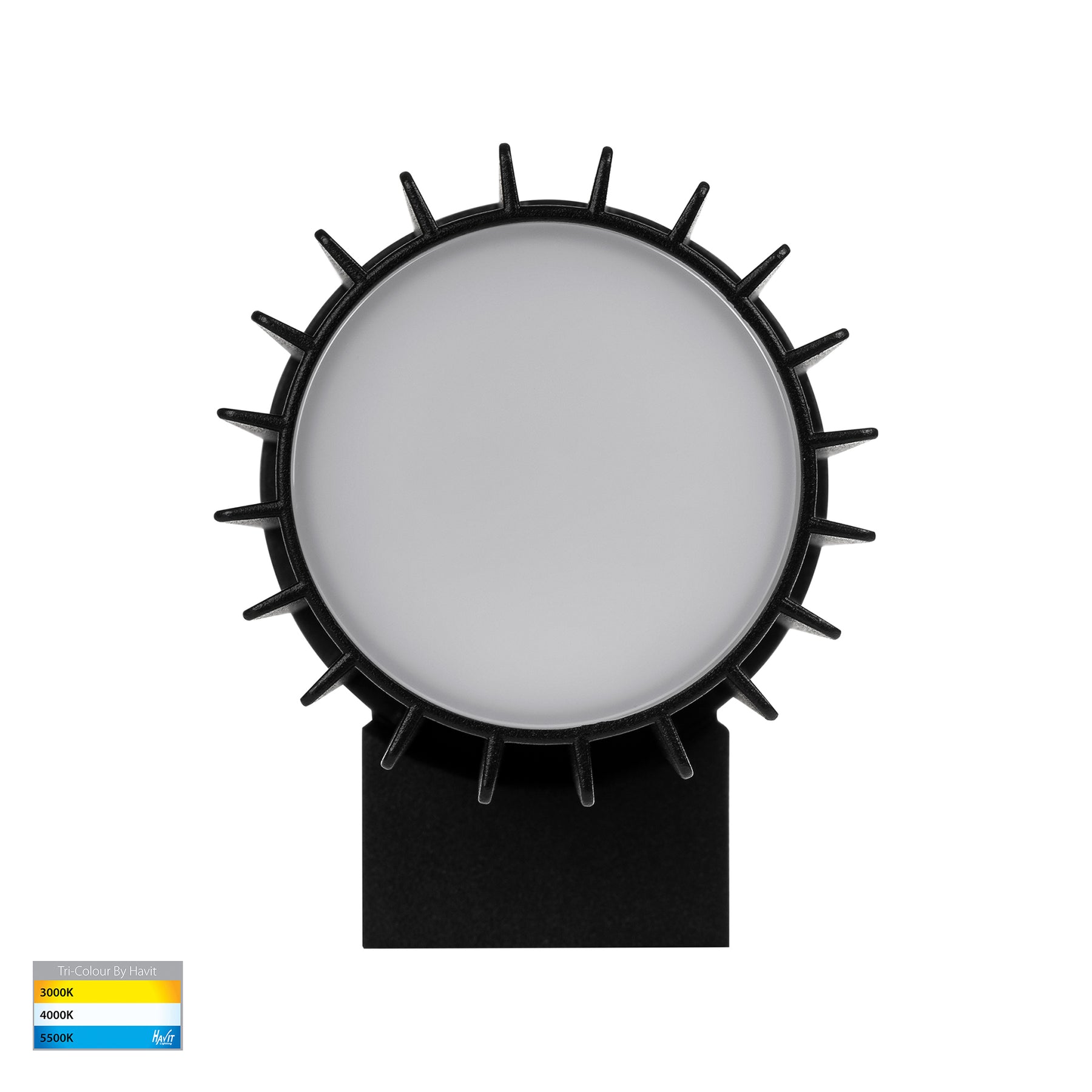 Havit Lighting Tenac Aluminium Black Wall Light