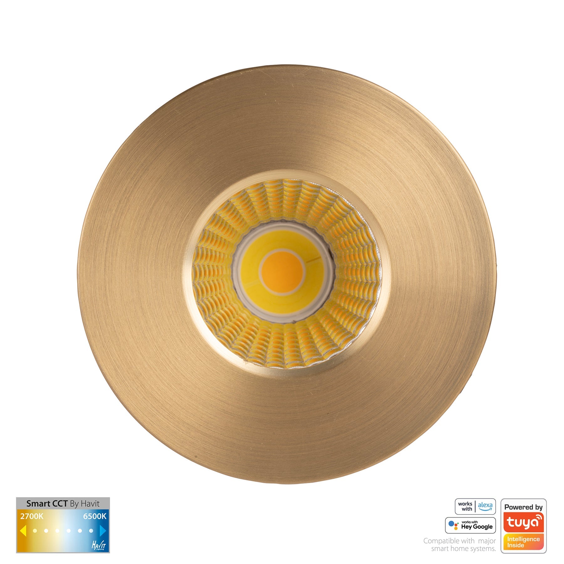 Havit Lighting Prime Brass Coloured Fixed CCT WIFI LED Downlight