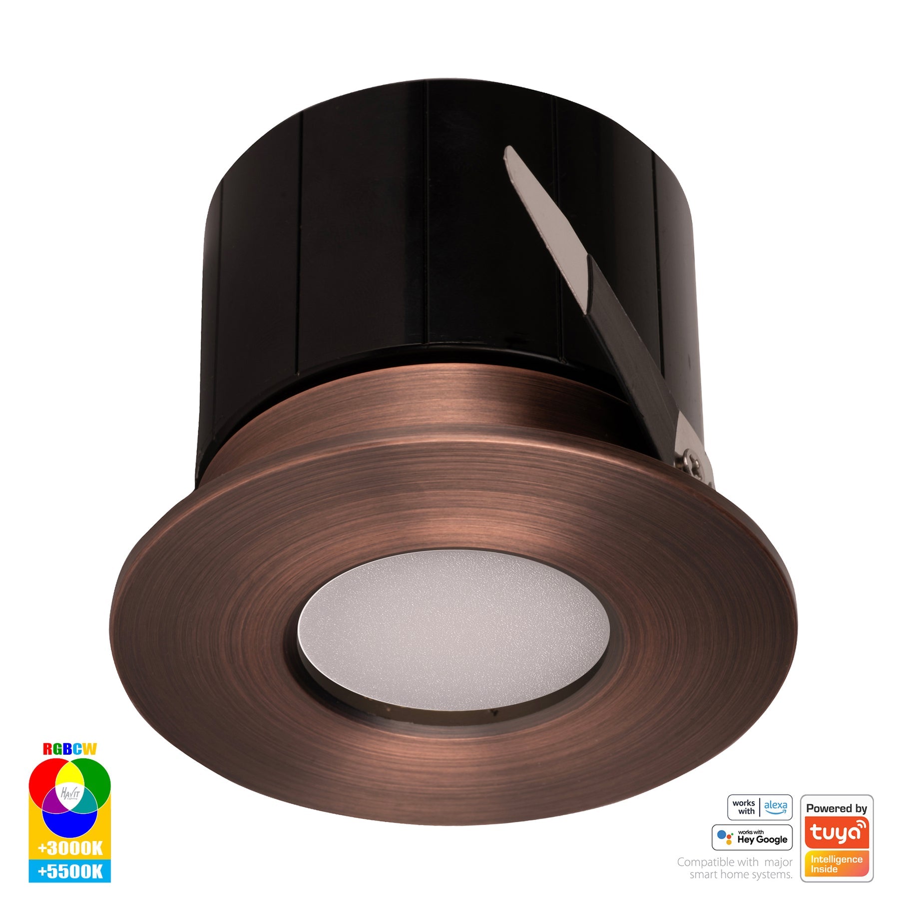 Havit Lighting Prime Antique Brass Fixed RGBCW WIFI LED Downlight