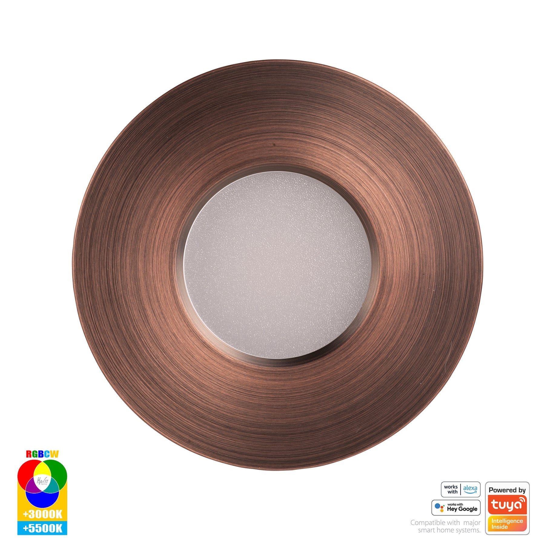 Havit Lighting Prime Antique Brass Fixed RGBCW WIFI LED Downlight