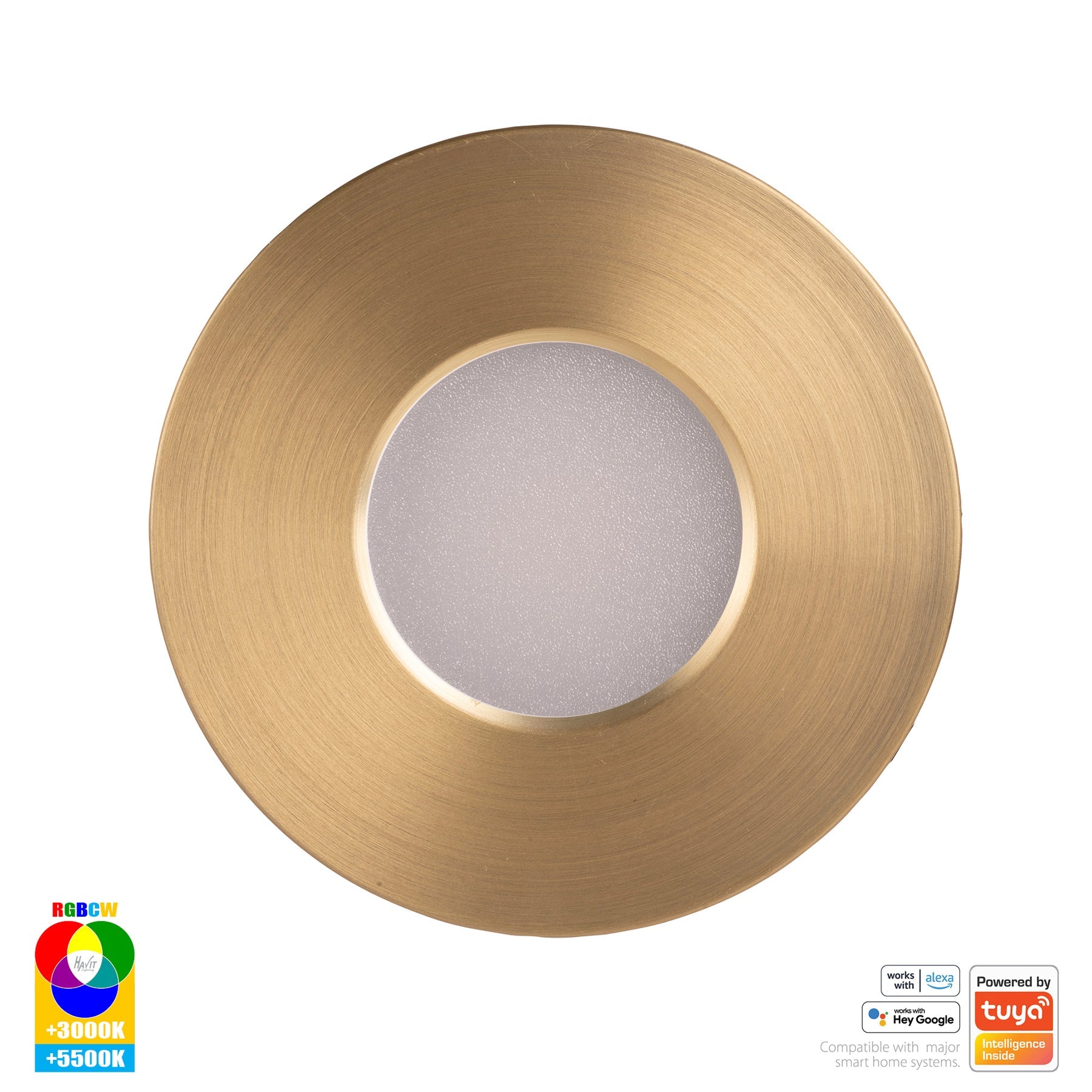 Havit Lighting Prime Brass Coloured Fixed RGBCW WIFI LED Downlight