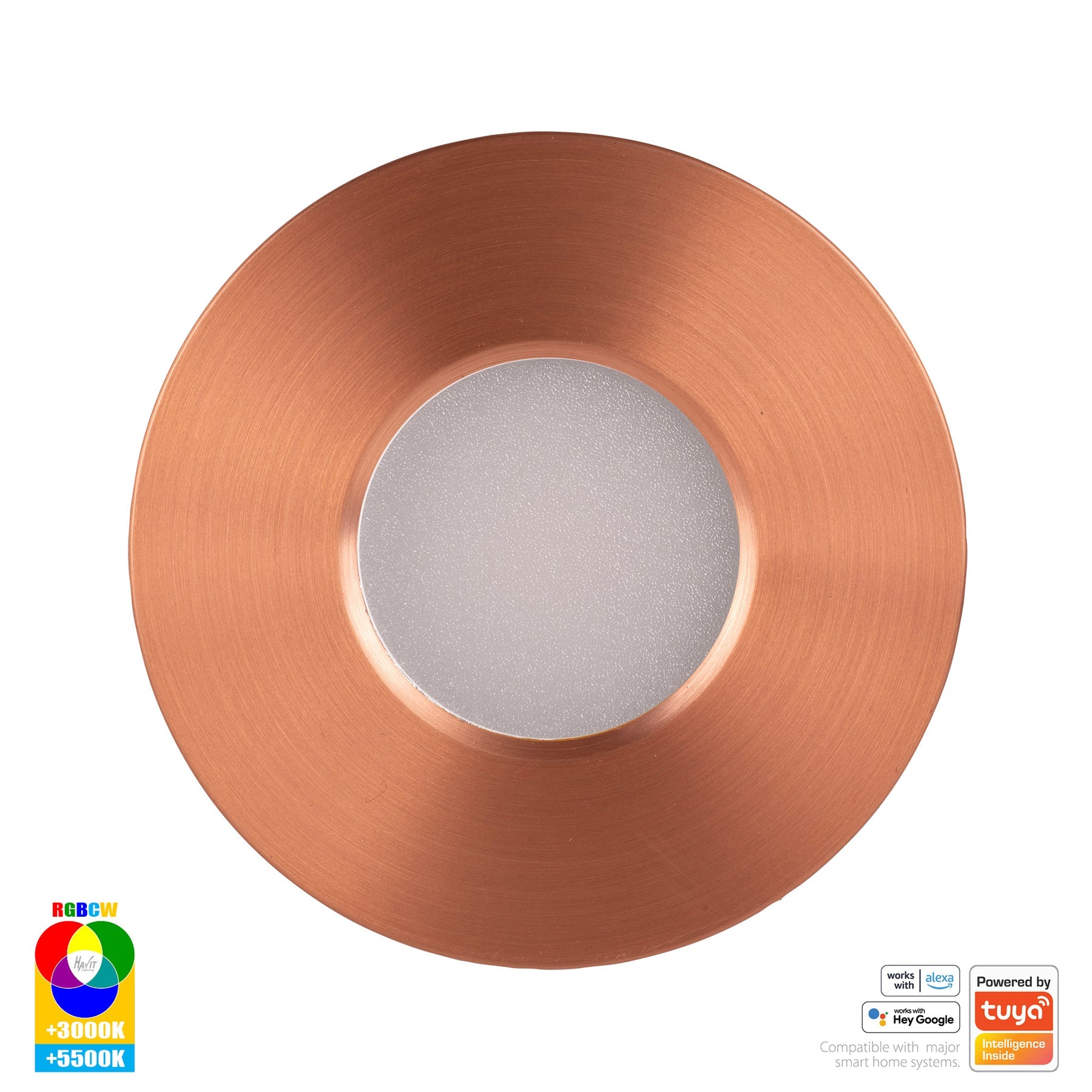 Havit Lighting Prime Copper Coloured Fixed RGBCW WIFI LED Downlight