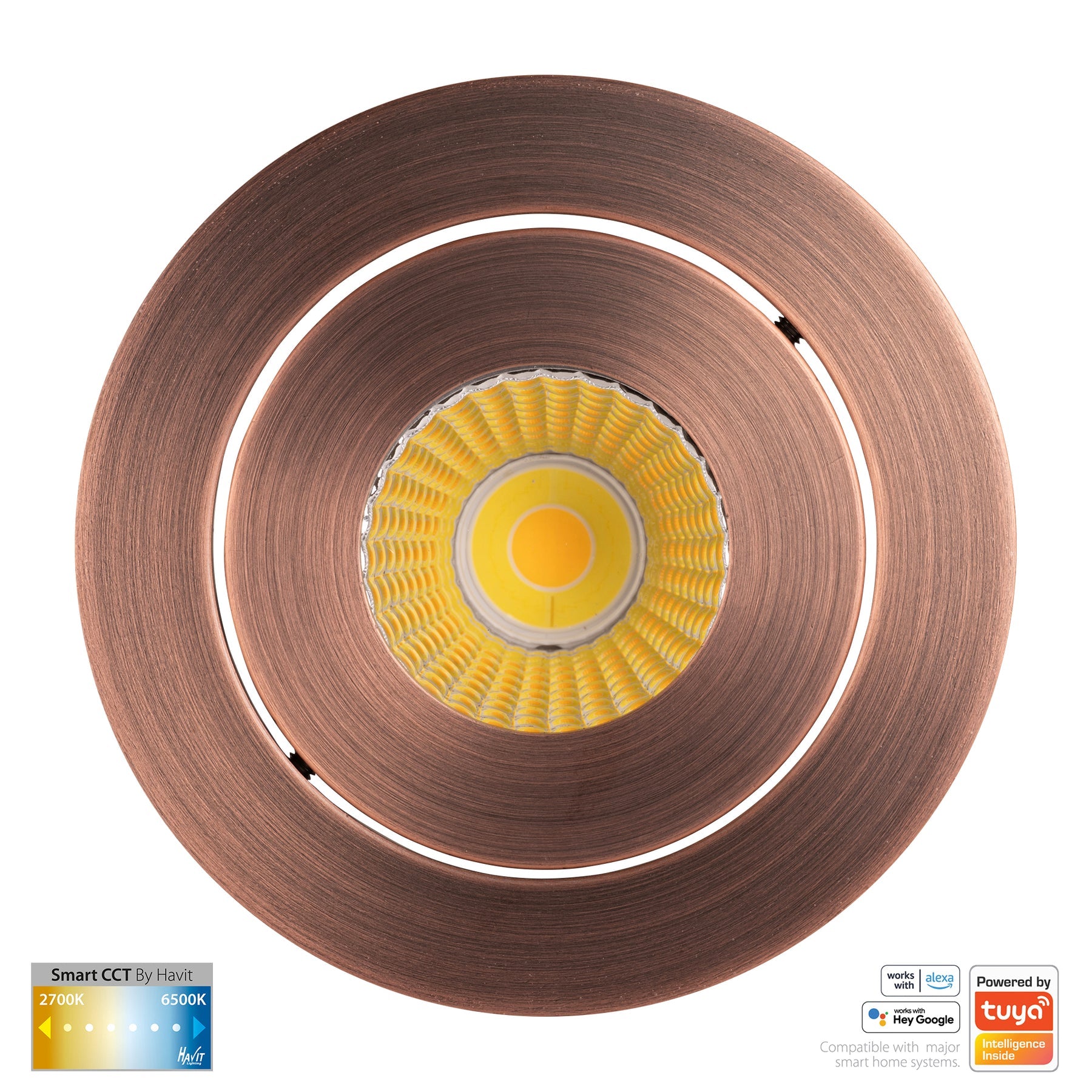 Havit Lighting Prime Antique Brass Tilt CCT WIFI LED Downlight