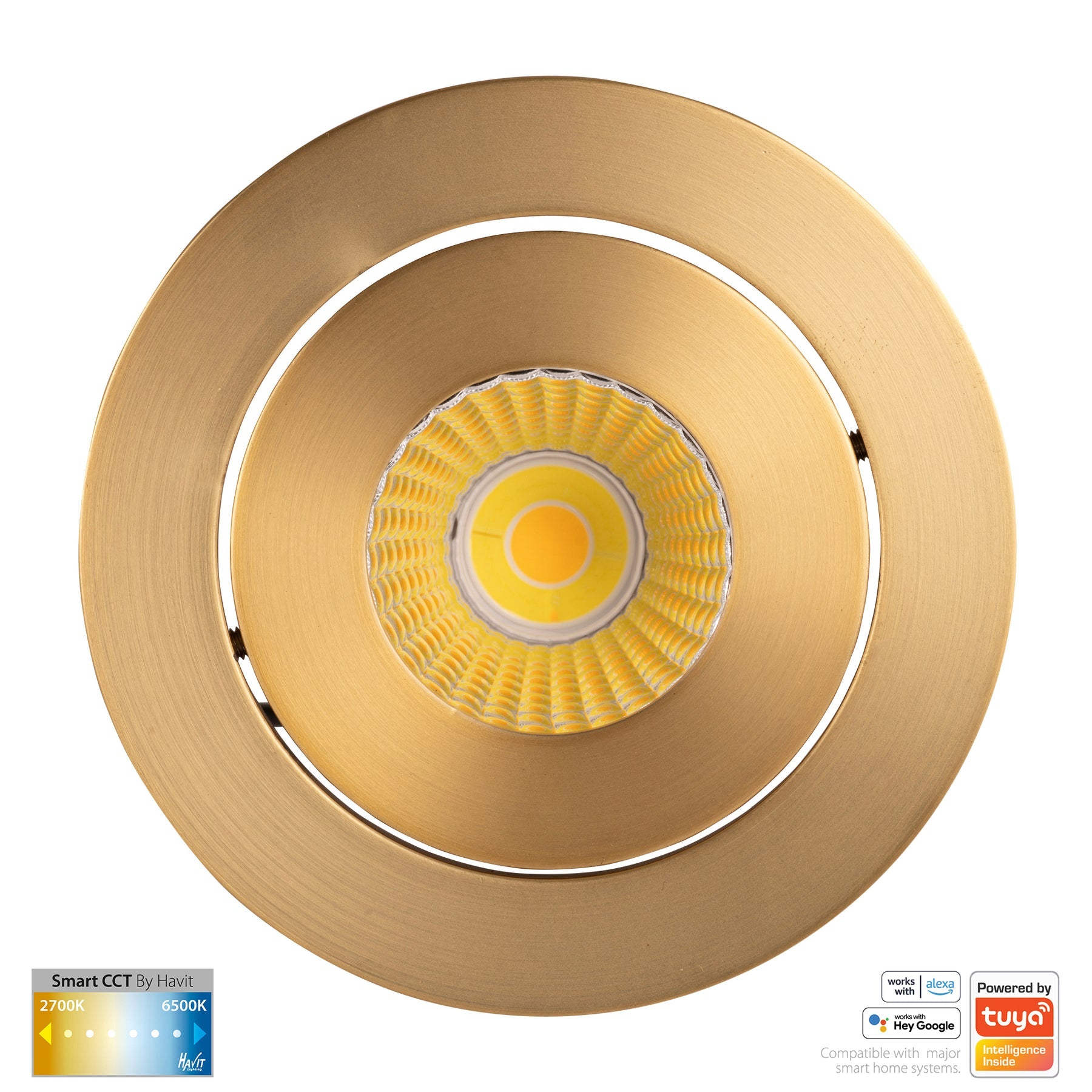 Havit Lighting Prime Brass Coloured Tilt CCT WIFI LED Downlight