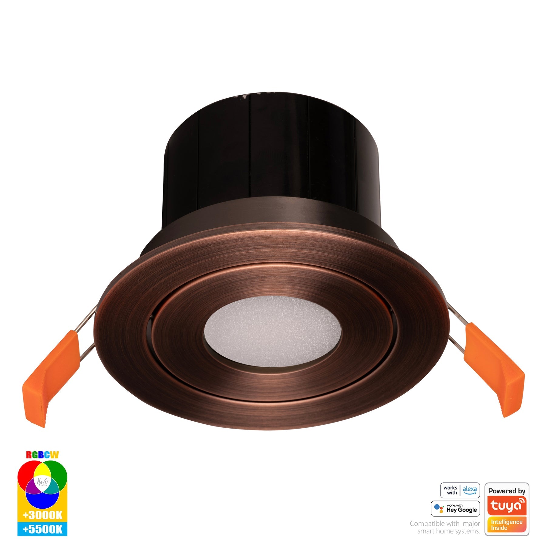 Havit Lighting Prime Antique Brass Tilt RGBCW WIFI LED Downlight