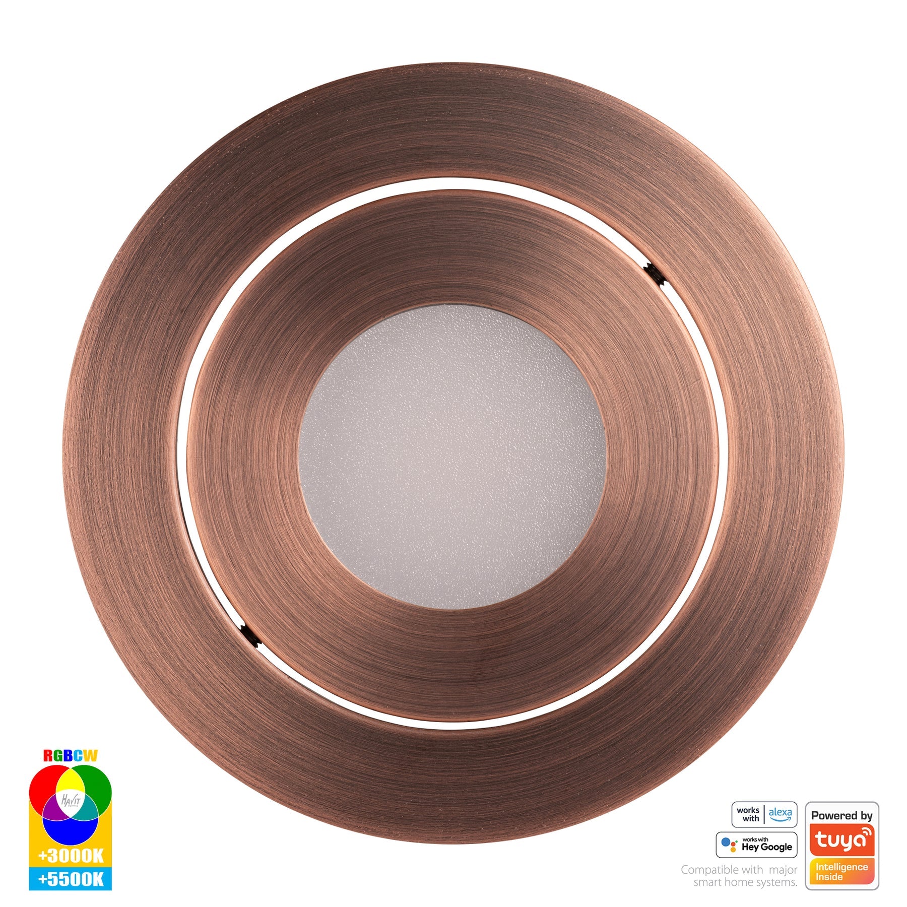 Havit Lighting Prime Antique Brass Tilt RGBCW WIFI LED Downlight