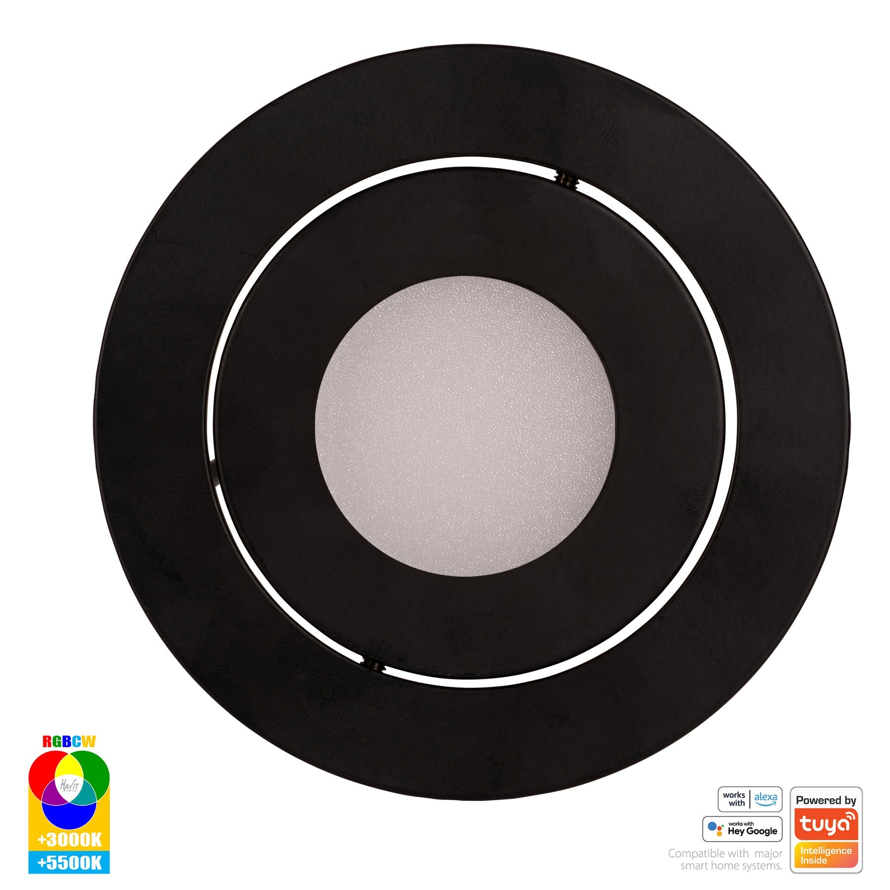 Havit Lighting Prime Black Tilt RGBCW WIFI LED Downlight