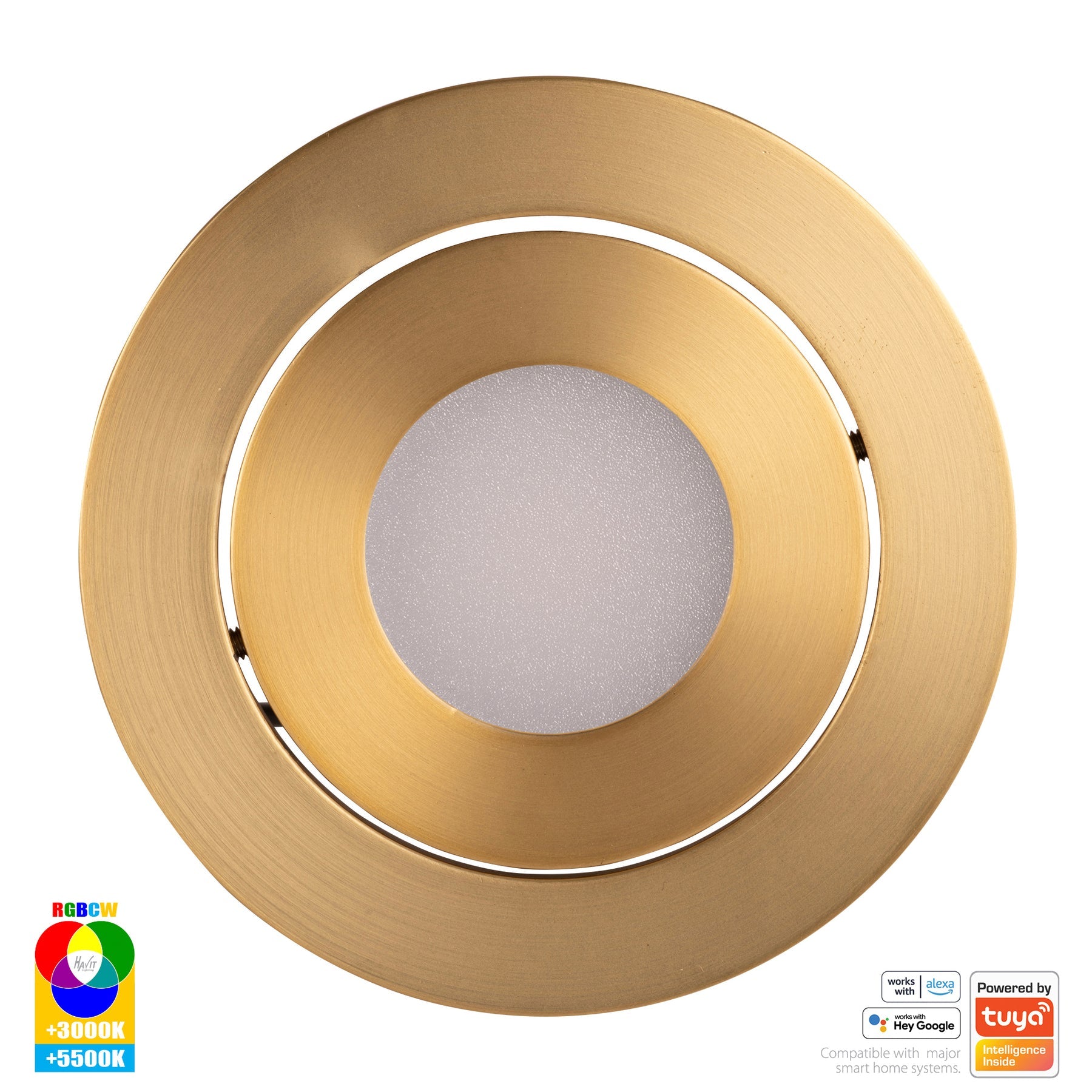 Havit Lighting Prime Brass Coloured Tilt RGBCW WIFI LED Downlight