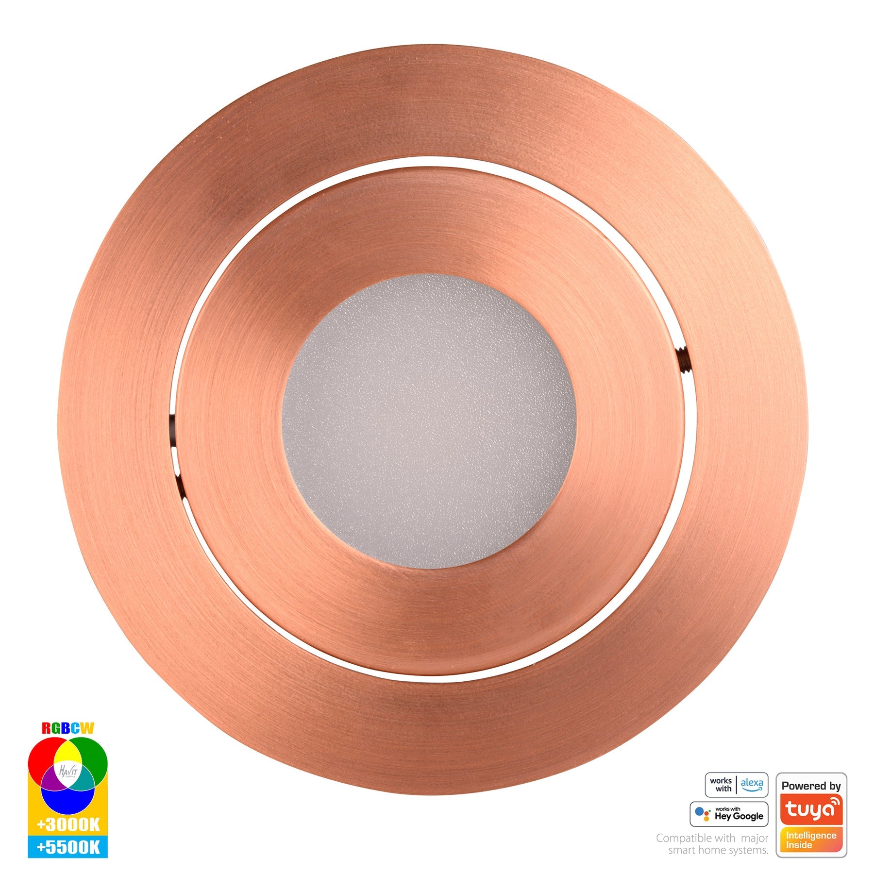 Havit Lighting Prime Copper Coloured Tilt RGBCW WIFI LED Downlight