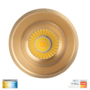 Havit Lighting Prime Brass Coloured Fixed Deep CCT WIFI LED Downlight