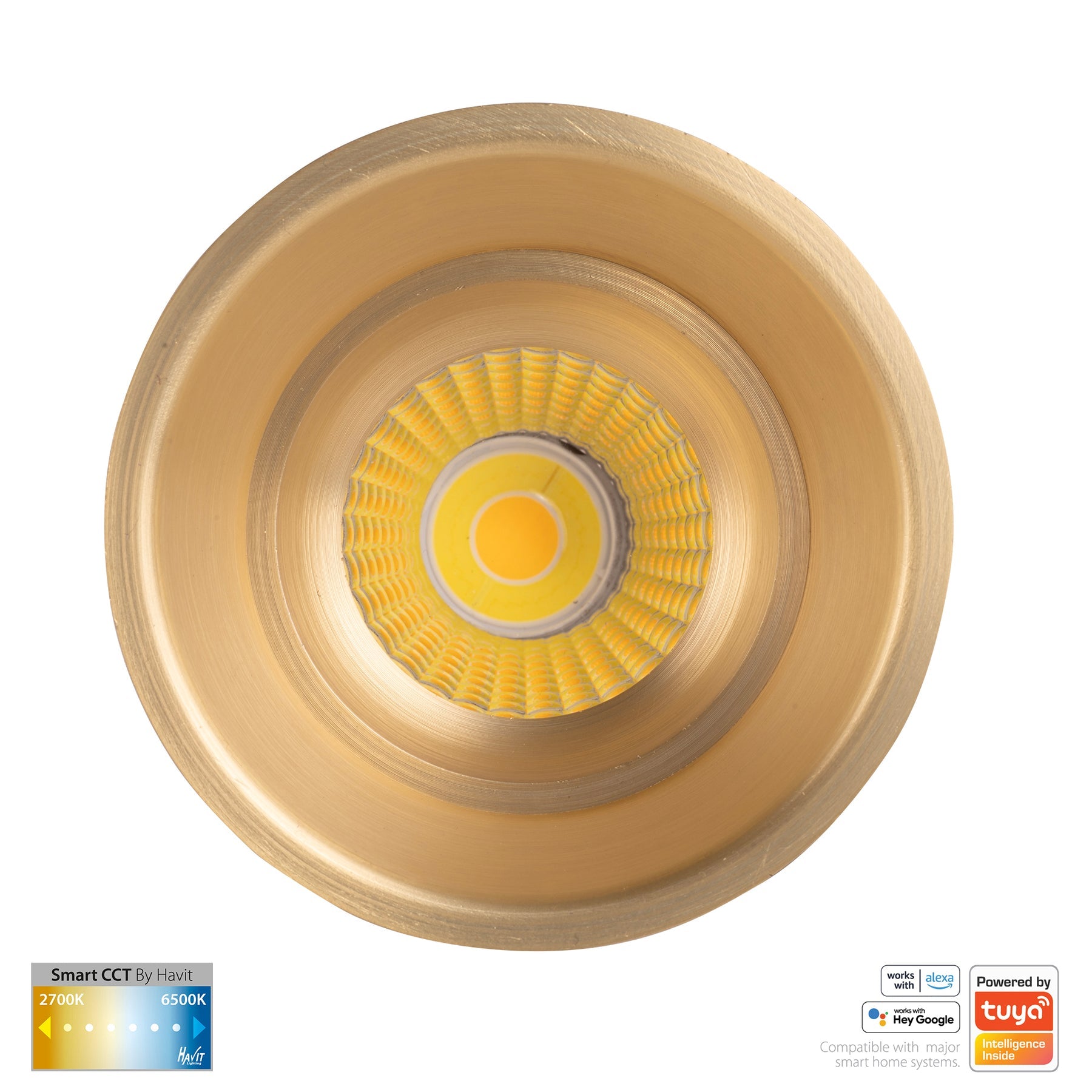 Havit Lighting Prime Brass Coloured Fixed Deep CCT WIFI LED Downlight