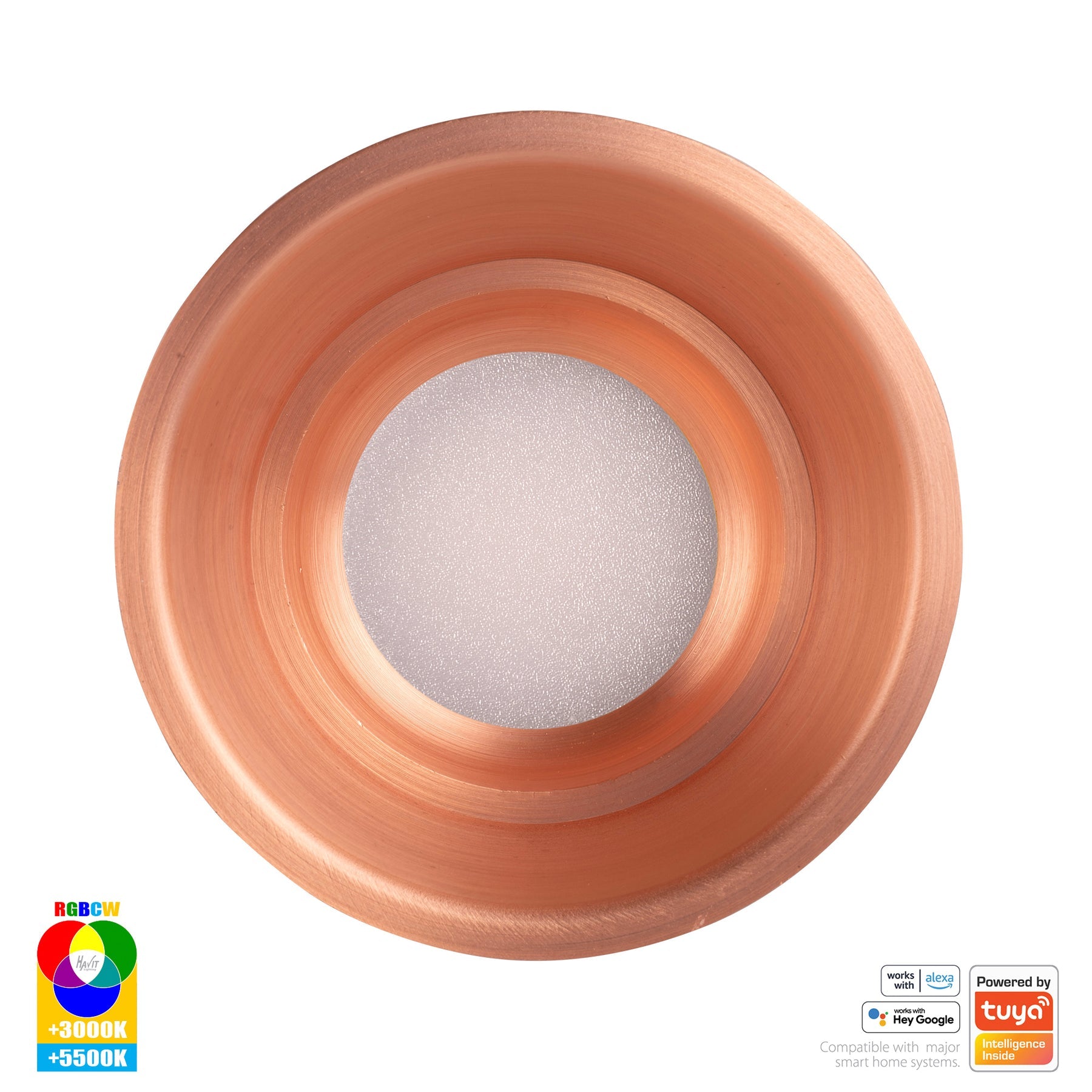 Havit Lighting Prime Copper Coloured Fixed Deep RGBCW WIFI LED Downlight