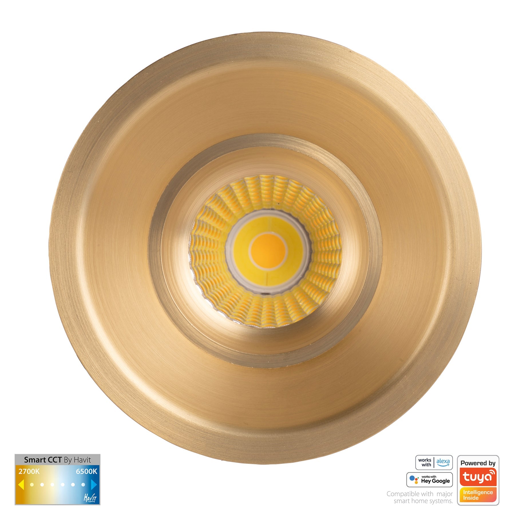 Havit Lighting Prime Brass Coloured Fixed Deep CCT WIFI LED Downlight