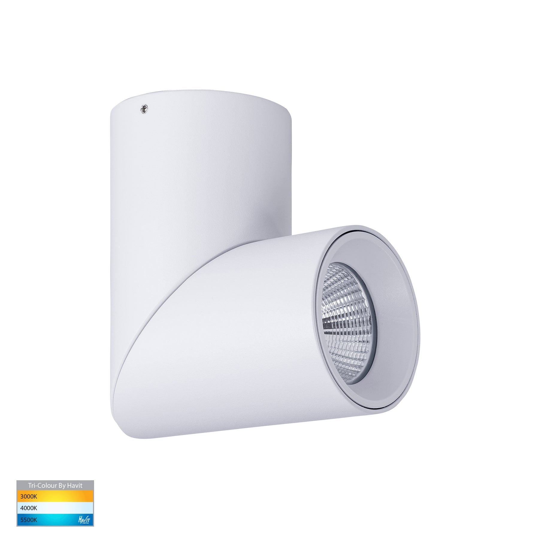 Havit Lighting Nella White 12w Surface Mounted Rotatable LED Downlight