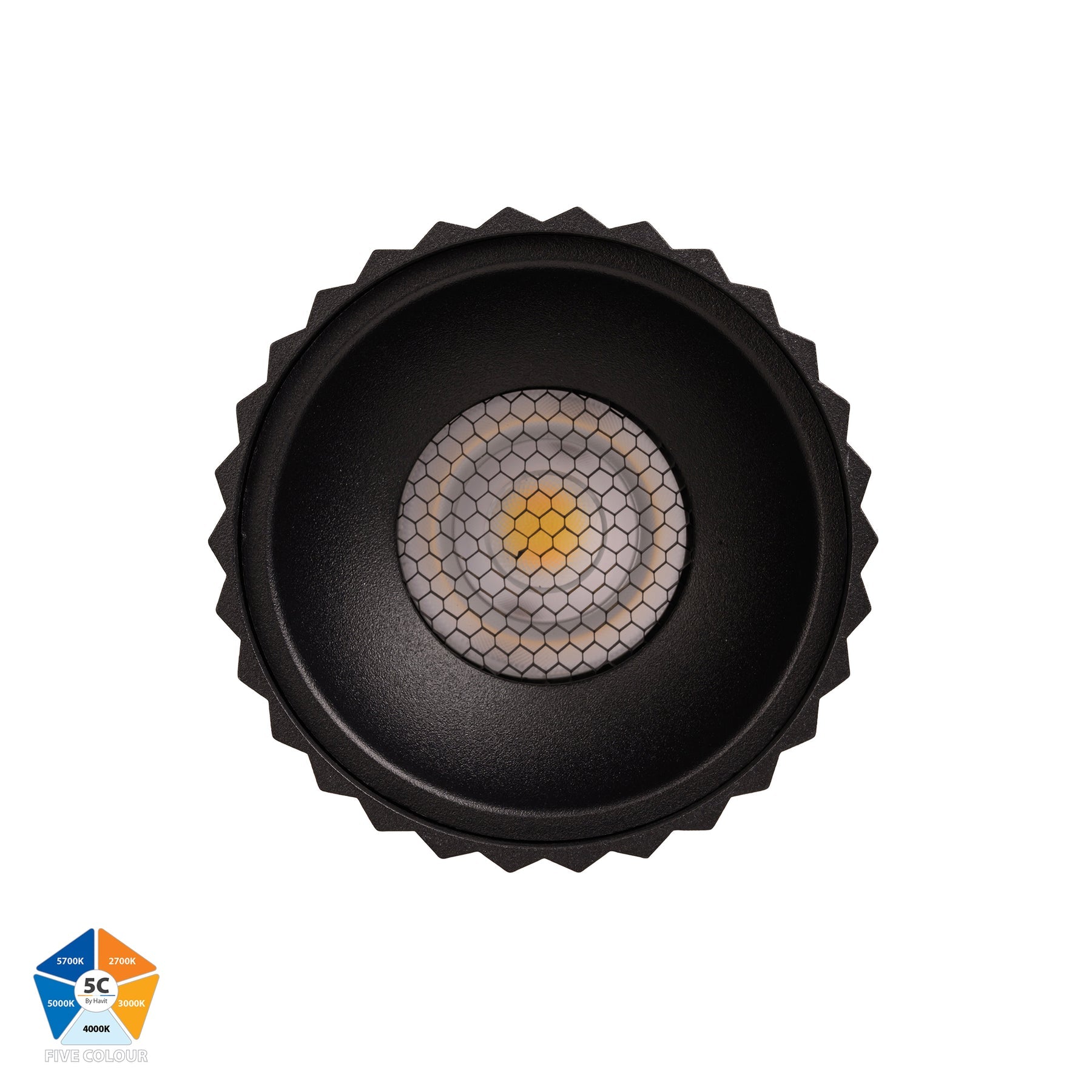 Havit Lighting Nella Black 12w Surface Mounted LED Downlight