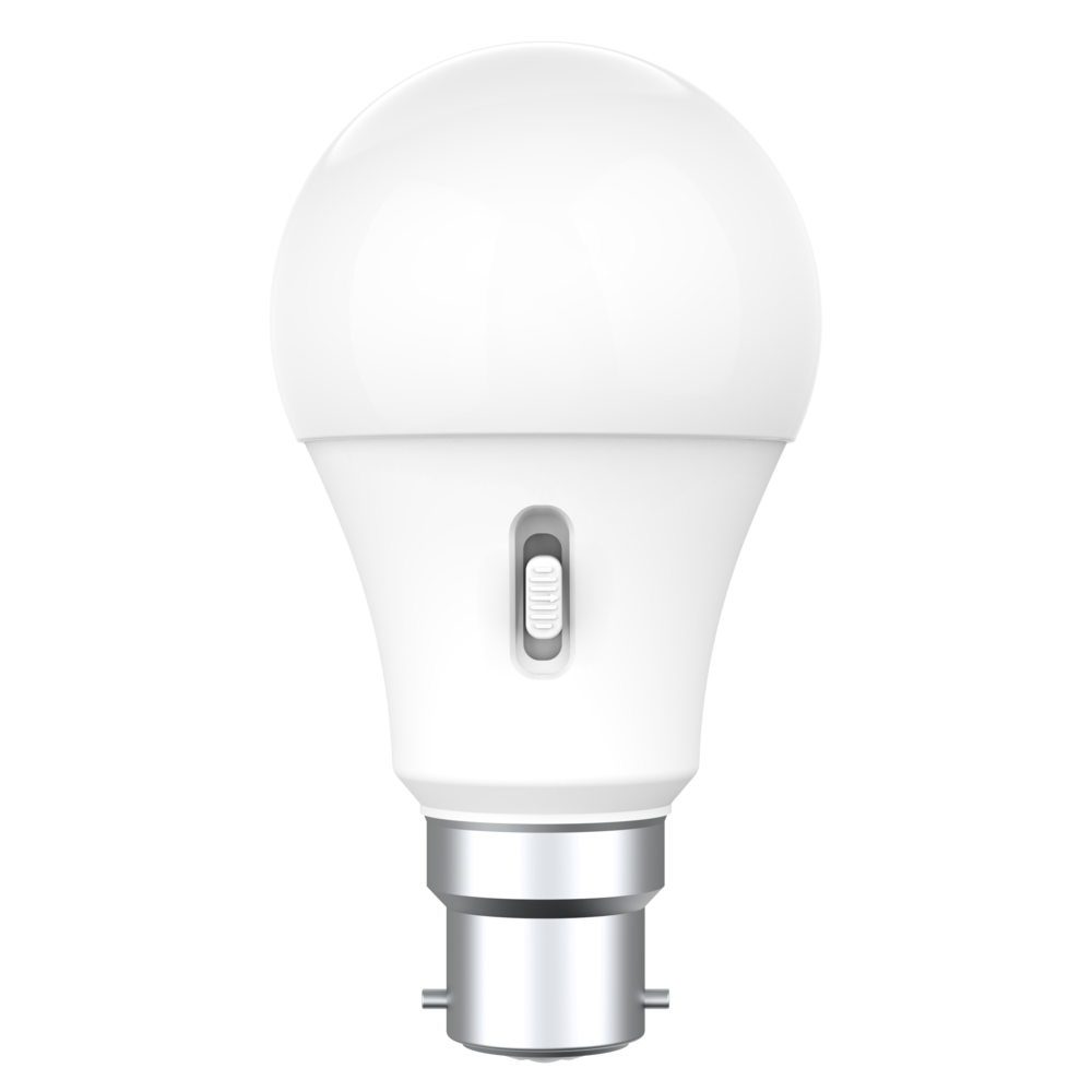 LGS4 LED Globe 240V 4W BC Opal Polycarbonate 3CCT