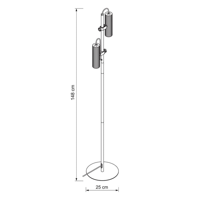 Tara Floor Lamp with Adjustable Head Matte Black