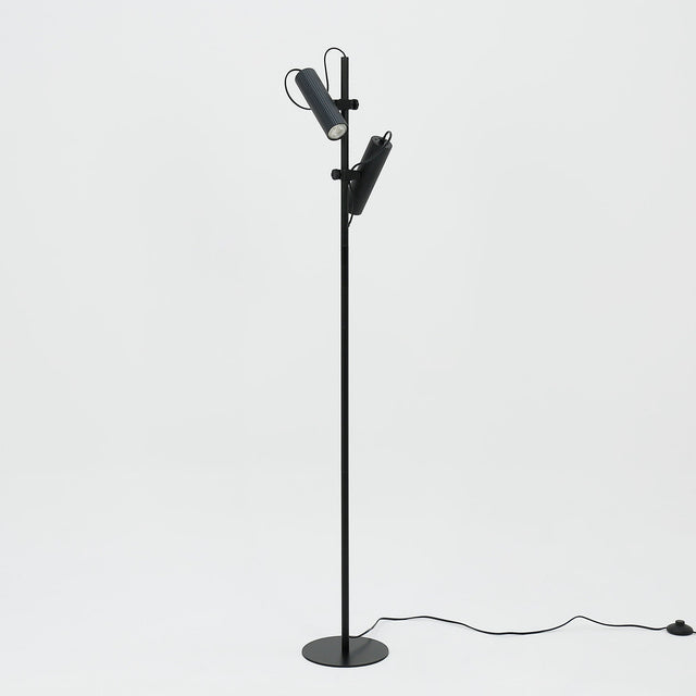 Tara Floor Lamp with Adjustable Head Matte Black
