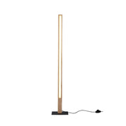 Rectara LED Floor Lamp 15W 2600K Natural & Black