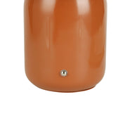 Mushroom LED Touch Table Lamp 2W 3CCT Clay