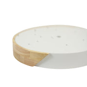 Celestia LED Large Flush Mount Light 24W 3CCT White