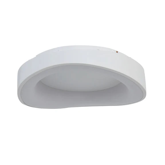 Hayley Large LED Flush Mount Light 40W Tri Colour White