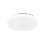 Elaine Large LED Flush Mount Light 24W Tri Colour White