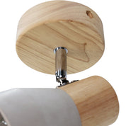 Rosalyn Spotlight Gray & Timber