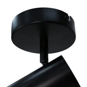 Brianna Spot Light Matt Black