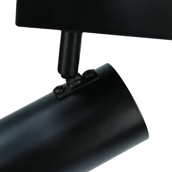Brianna 2 Light Spot Light Matt Black