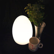 LED Egg Table Lamp White Polyethylene RGB