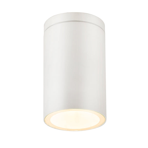 Myren Outdoor Close to Ceiling Light White