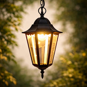 Adara Outdoor Pendant Light Matte Black & Brown