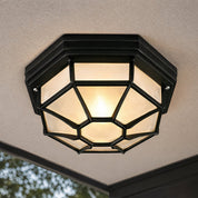 Alaya Outdoor Mounted Ceiling Light Matte Black & Frosted