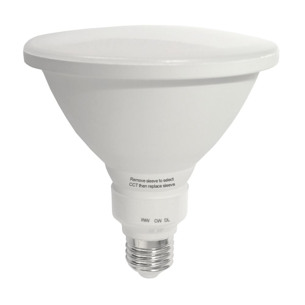 LED Globe 240V 12W ES Opal Polycarbonate 3CCT
