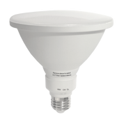 LED Globe 240V 12W ES Opal Polycarbonate 3CCT