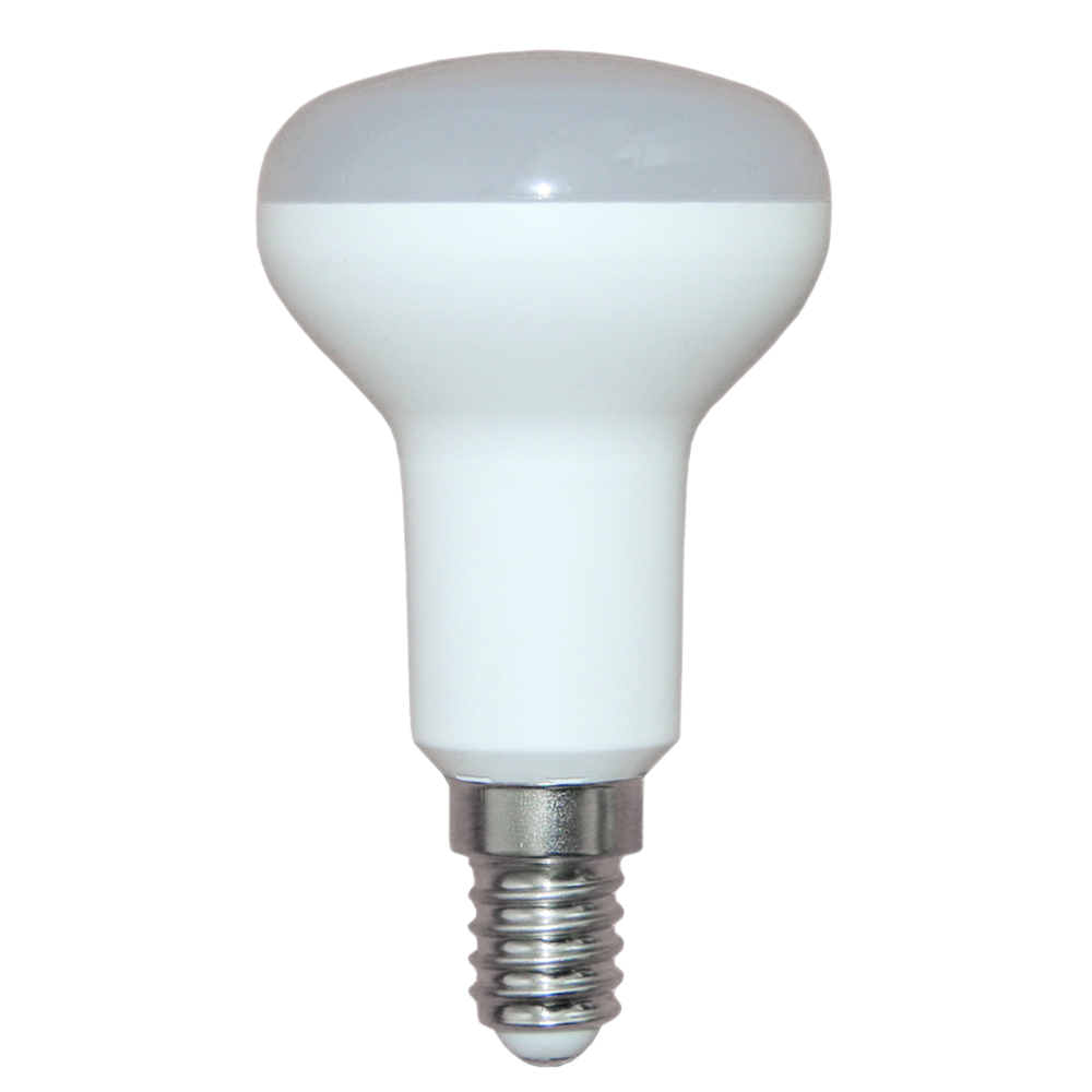 LED Globe 240V 6W SES Opal Polycarbonate 2700K
