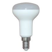 LED Globe 240V 6W SES Opal Polycarbonate 2700K