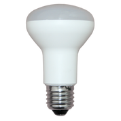 LED Globe 240V 8W ES Opal Polycarbonate 2700K