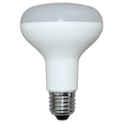 LED Globe 240V 9W ES W80mm Opal Polycarbonate 3000K
