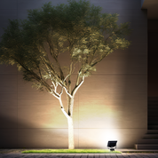 NEO 150W LED FLOOD LEAD&PLUG