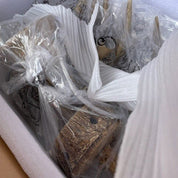 HYORT 8 Light KD Version - Deer Antler Designer Pendant